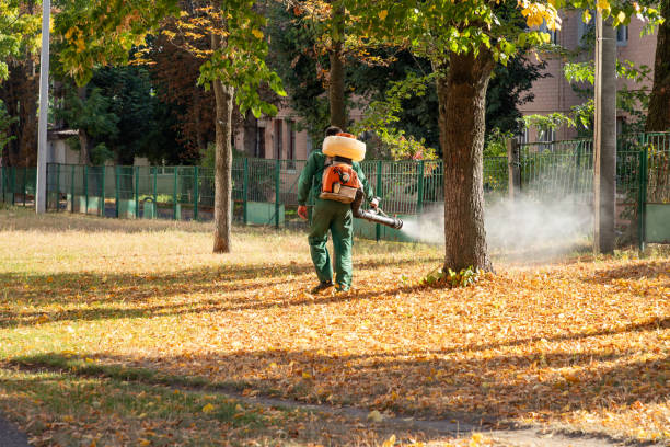 Pest Prevention Services in Ransomville, NY