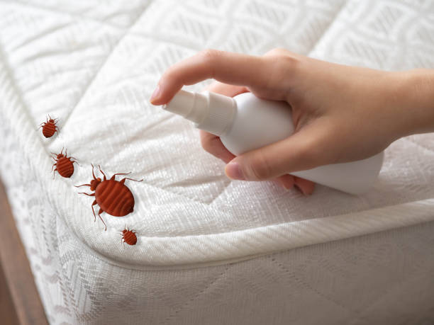 Best Pest Removal Services  in Ransomville, NY